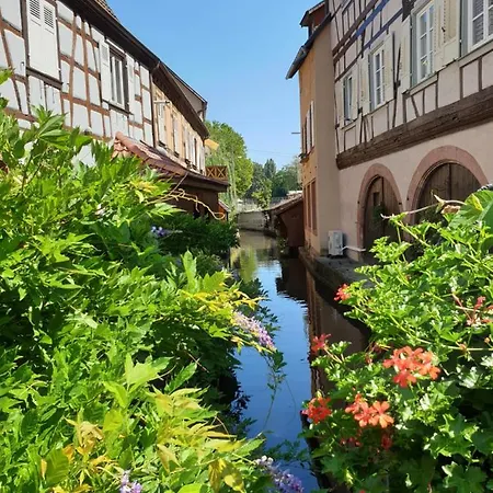 Ferienwohnung Haus Kölsch Kroppen Exterior foto