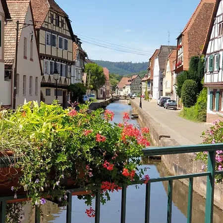 Ferienwohnung Haus Kölsch Kroppen Exterior foto