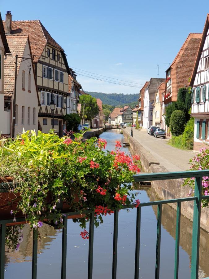 Haus Kölsch *